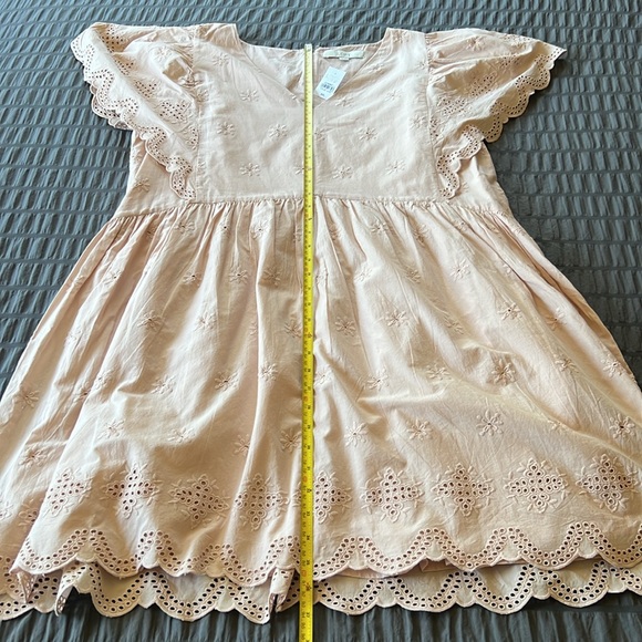 NWT Ann Taylor Loft Eyelet Scallop Flutter Sleeve Pink Blush Dress Womens Sz XXL - Picture 15 of 16